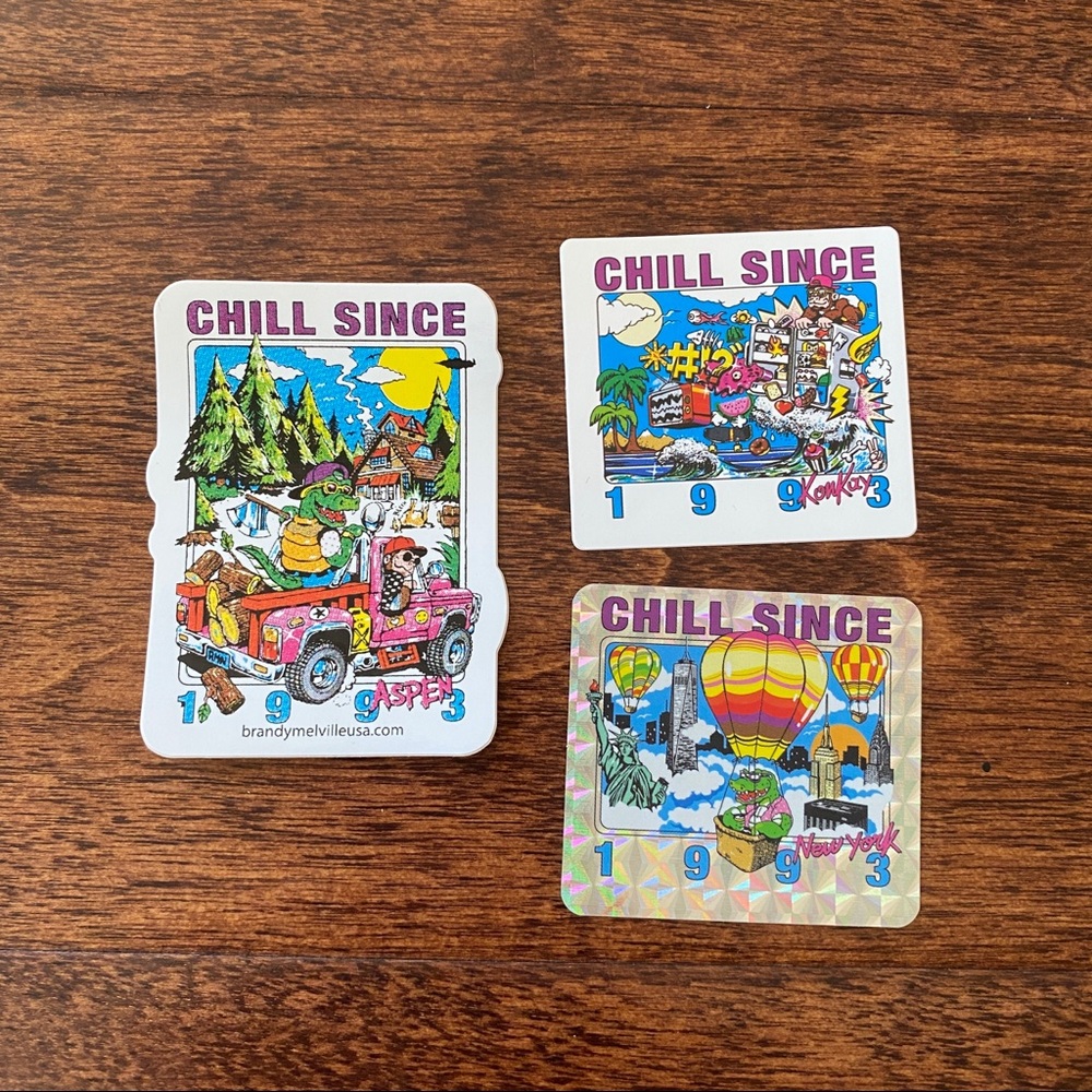 3 brandy melville “chill since 1993” stickers